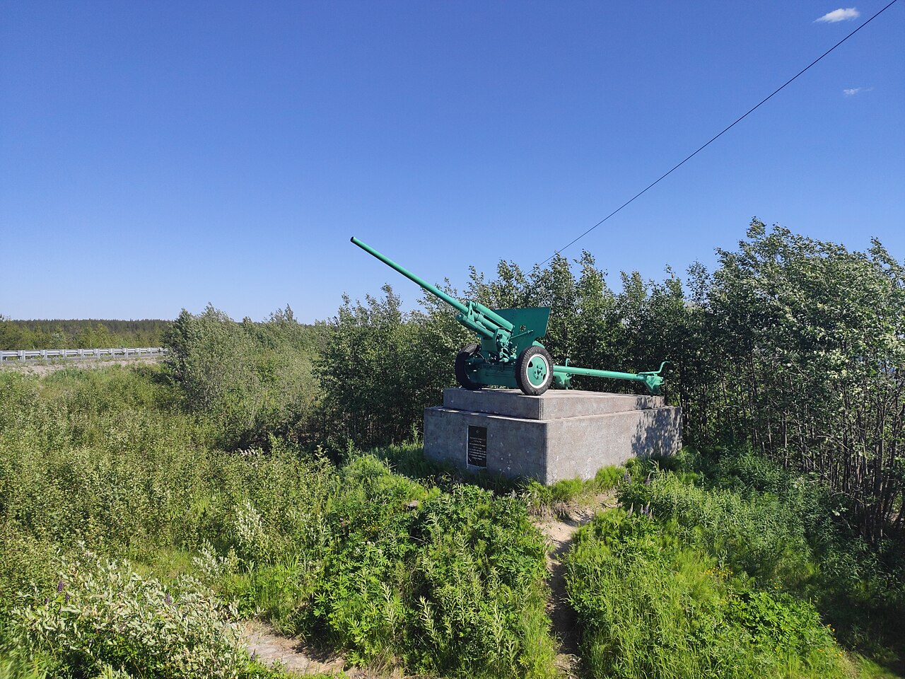 Муезерский р-н, Ругозеро, пушка (2).jpg